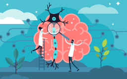 drawing of tiny man and woman studying giant brain